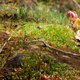 Image for article titled Shooting Challenge: Focus Stacking Gallery
